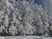 2017-12-29 V. del Morretano 067